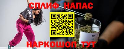 jwh Будённовск
