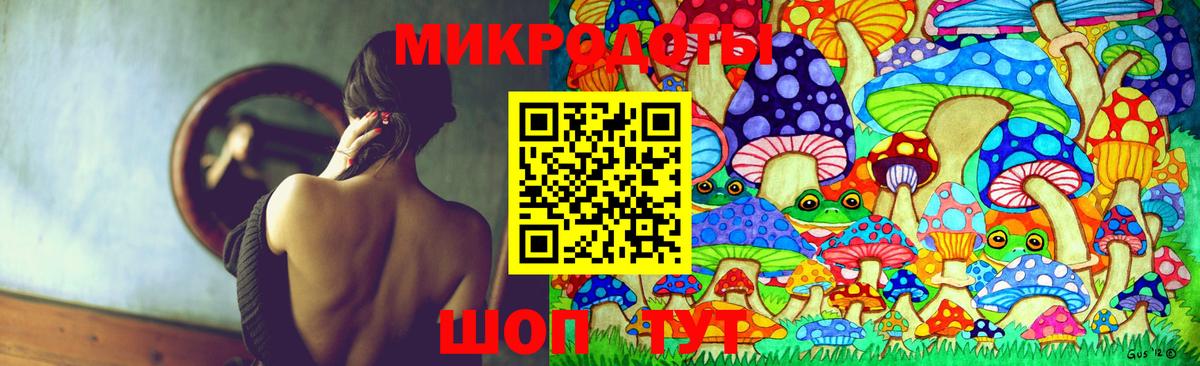 Псилоцибиновые грибы Psilocybe Лянтор